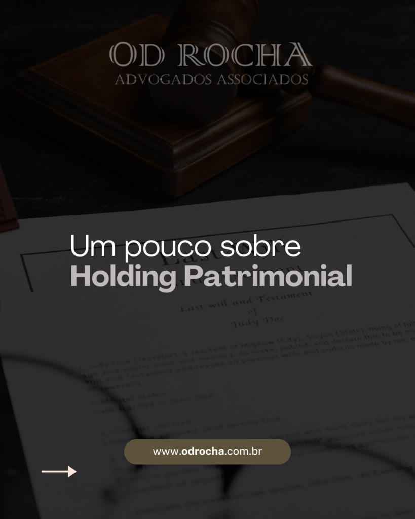 Leia mais sobre o artigo Um pouco sobre Holding Patrimonial